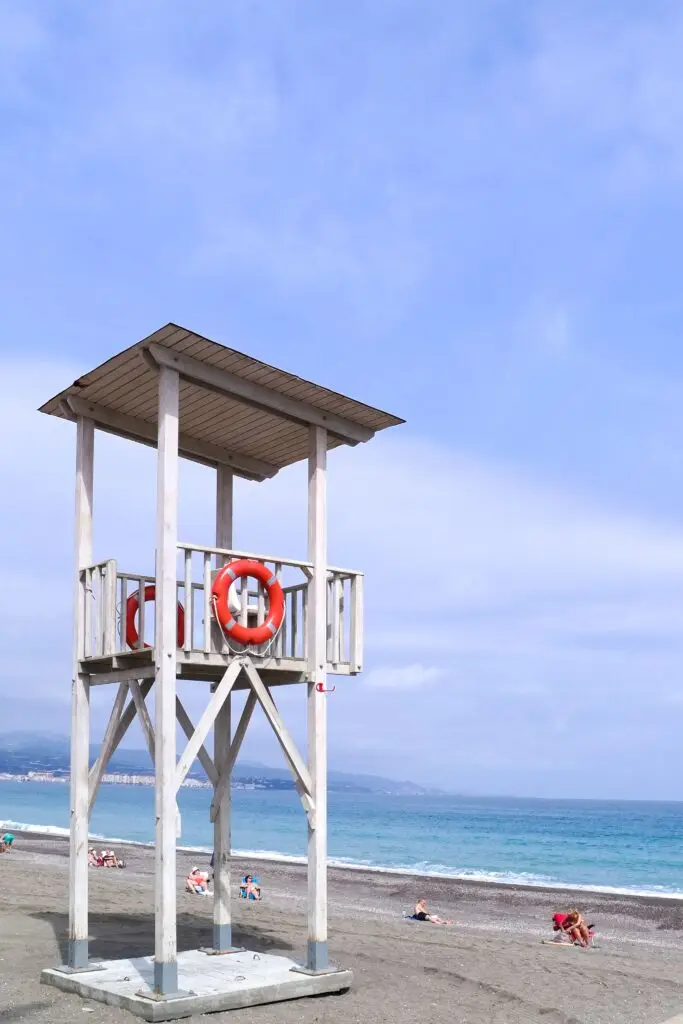 Medicare Plans Available in Florida in 2022
